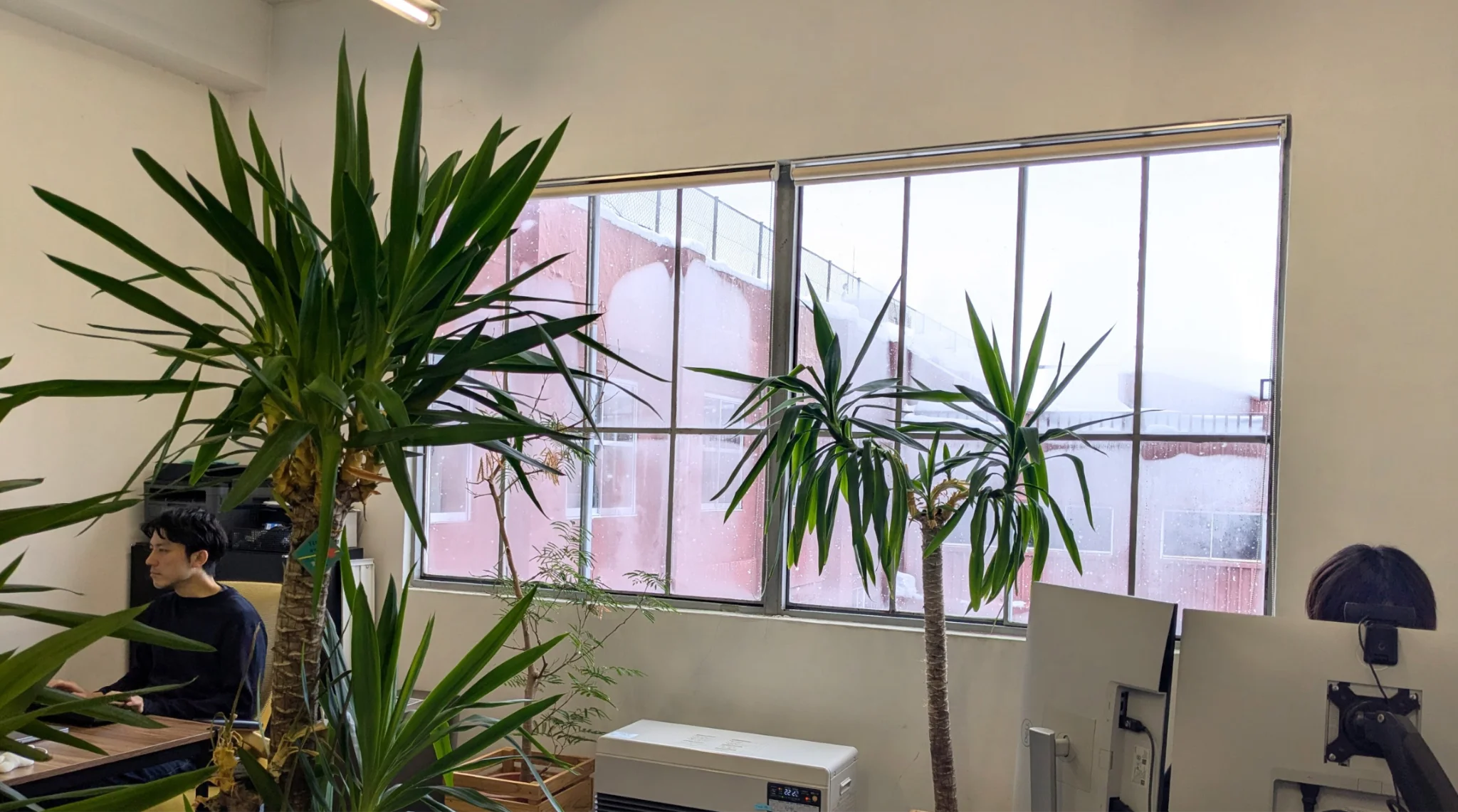 Large office windows with natural light