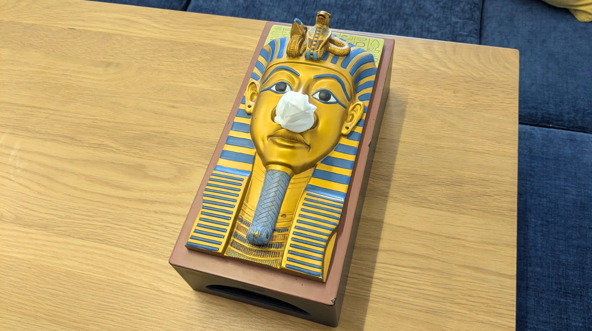 Playful tissue case in the office